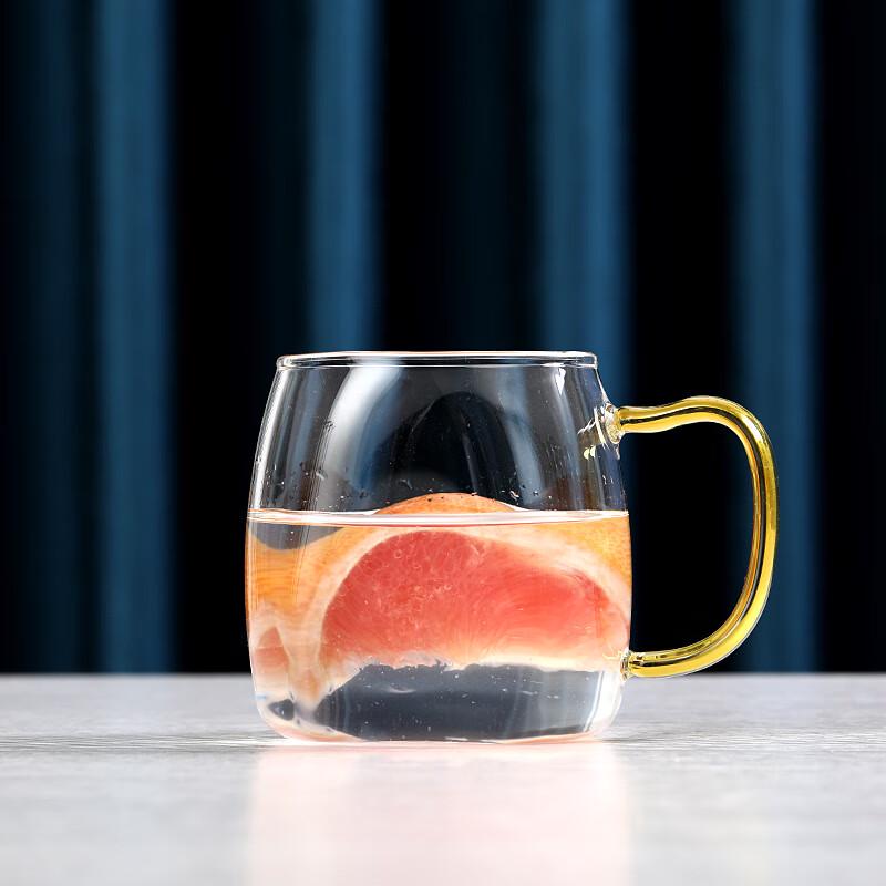 Segana High-Temperature Glass Water Pitcher & Tea Set