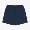 The North Face Icemax Shorts Ns6ns05k Navy