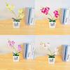 Aphrodite Faux Phalaenopsis Potted Plant 3d Printing Design For Decor Indoor