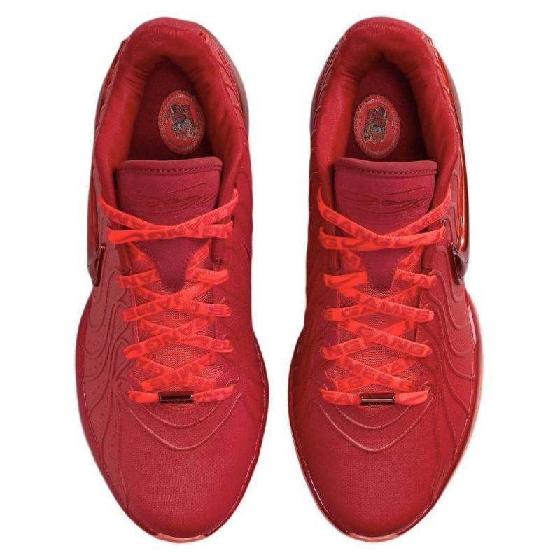 Nike LeBron 21 James Gang Sneakers HF5951-600