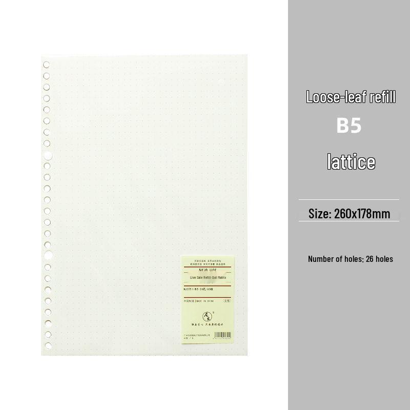 Smooth Loose-Leaf Notebook with Removable Pages for Postgraduate Exams