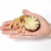 Plastový prehistorický mořský tvor Starověké kambrijské oceánské zvíře Nautilus, Trilobit, Bělozubec, Opabinia, Pikaia Mořské figurky Hračky