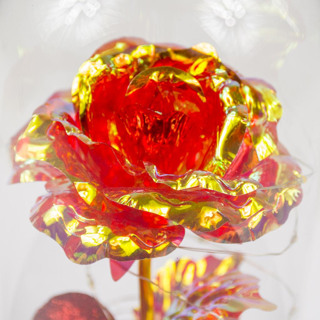 Gift eternal rose in glass shining for her girlfriend wife romantic