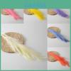 Phragmites Australis Artificial For Wedding Decor With Colorful Feathers And Wall Art Display