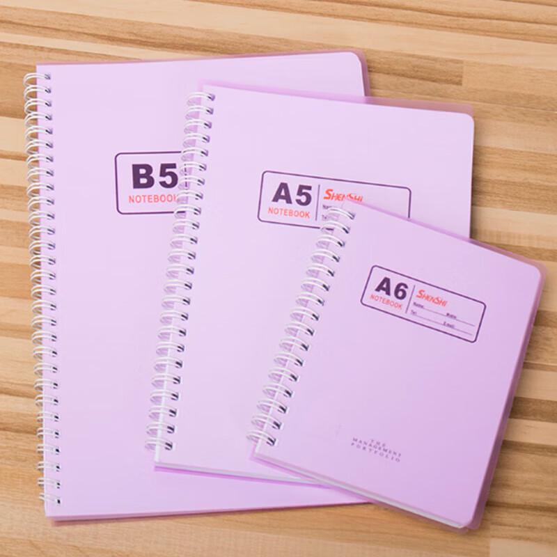 SHEN SHI A6 Softcover Spiral Notebooks (10-Pack)