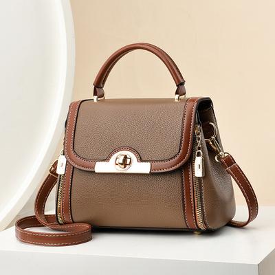 Casual Handbag Women's New Fashion Instagram Large Capacity Women's Crossbody Bag Carrying Small Bag