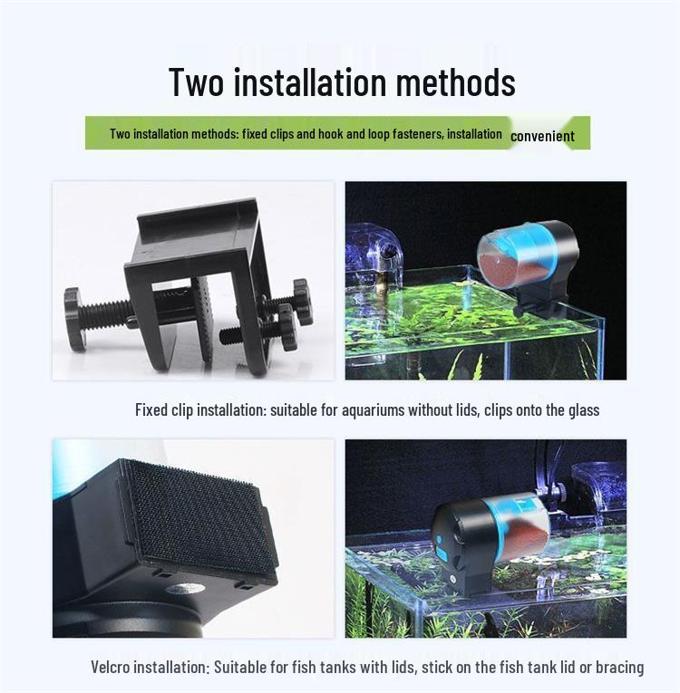 Smart Automatic Fish & Turtle Feeder for Aquariums