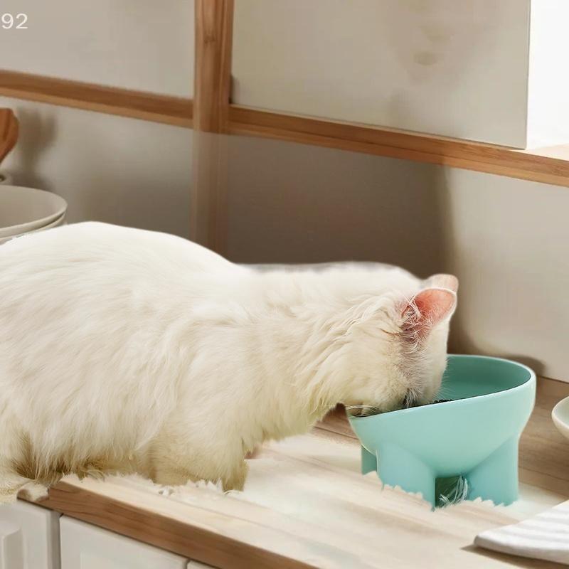 Elevated Cat Bowl With Stand - Durable Plastic Pet Food & Water Dish, Sleek Modern Neck-Friendly Feeding For Cats & Dogs