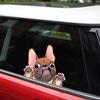 3D Unique Car Styling Funny Puppy Cartoon Car Sticker Colorful Window Body Vinyl Sticker Decal
