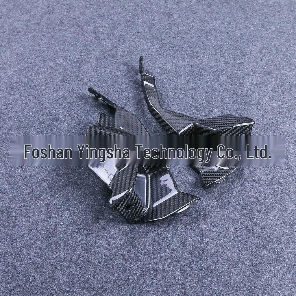 2021+ BMW S1000R Carbon Fiber Side Panel Inner Liner
