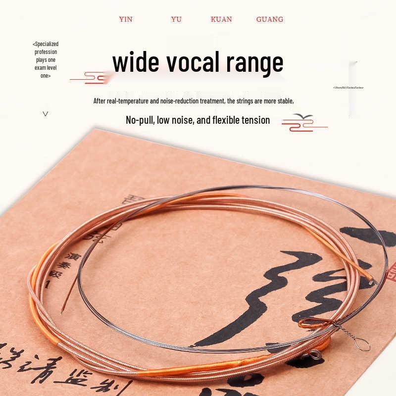 Le Hai Professional Zhong Ruan Strings YX05: Steel Core Nickel-Chromium Wire Wound for Strings 1/2/3/4.