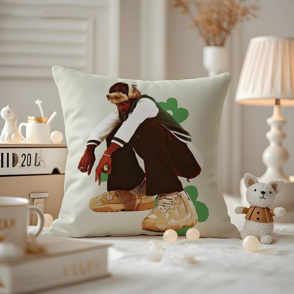 Cushion Cover Pattern Printed Pillowcase For Living Room Sofa Cushion Cover & Bedroom Decor T-Tyler The Creator Rapper