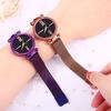 Women watches hours Mesh Magnet Starry Sky Watch Luxury Ladies Roma Dial Quartz Wristwatch