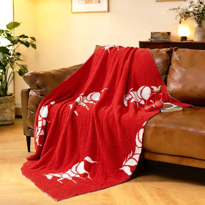 

Mercury Home Textiles Soft Warm Nap Blanket