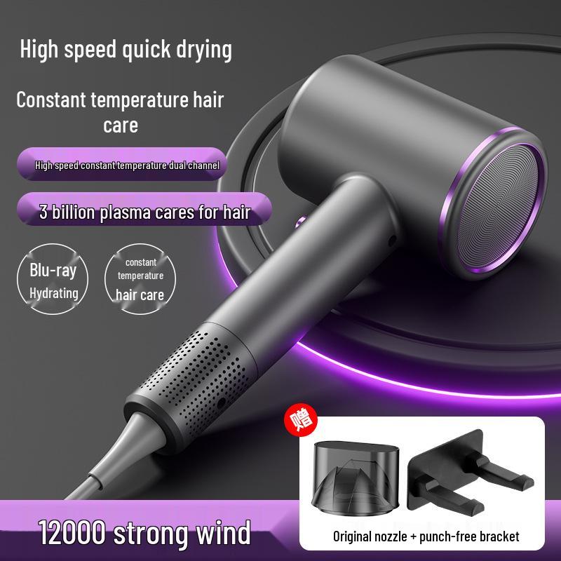 Dual-Function High Power Ionic Hair Dryer for Home, Dorm, and Salon Use