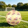 1pc Pig Sweater Theme Size 5 Soccer Ball Football, Lightweight PVC, Outdoor Training Soccer Ball,Gift J6141