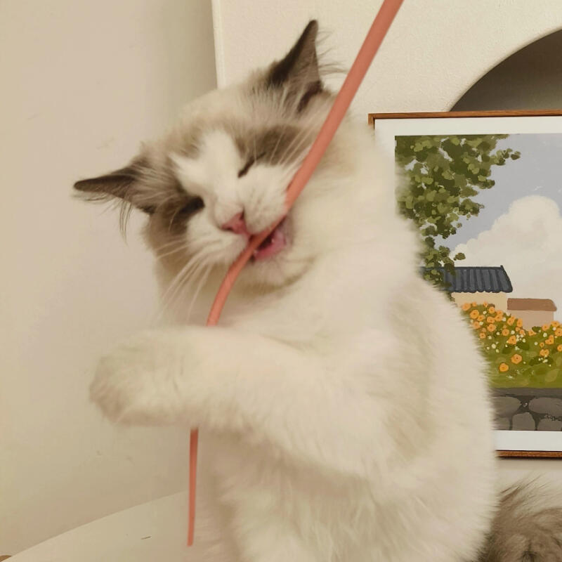 Cat Mouse Tail Toy Silicone Long Tail Fishing Rod Blue