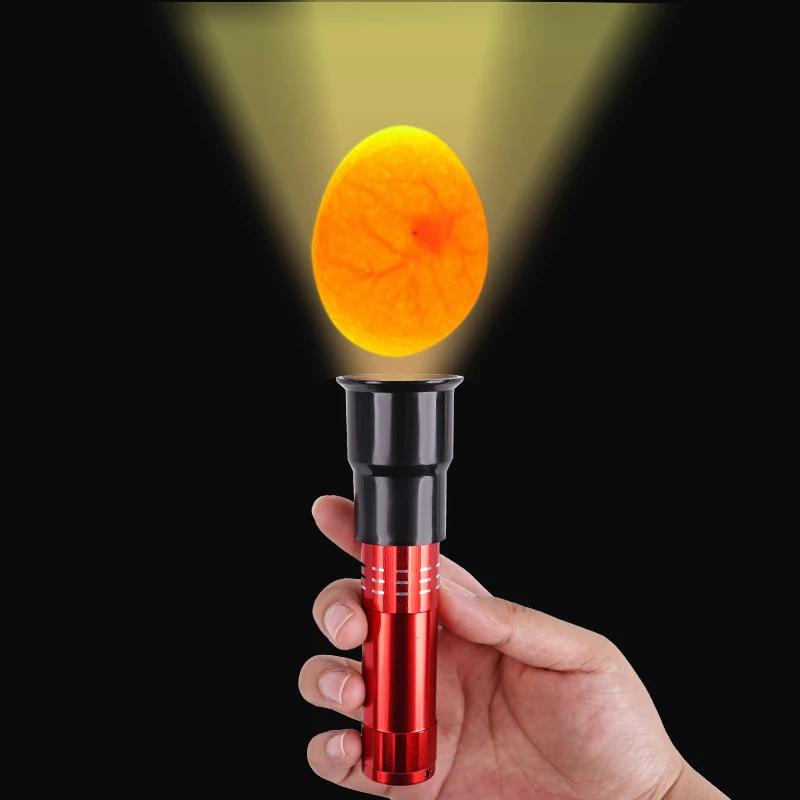 Nova Incubadora Testador de Ovos Lâmpada de Iluminação de Ovos 9 LEDs Super Frio Equipamento de Incubação Ferramenta para Galinhas 1 Peça