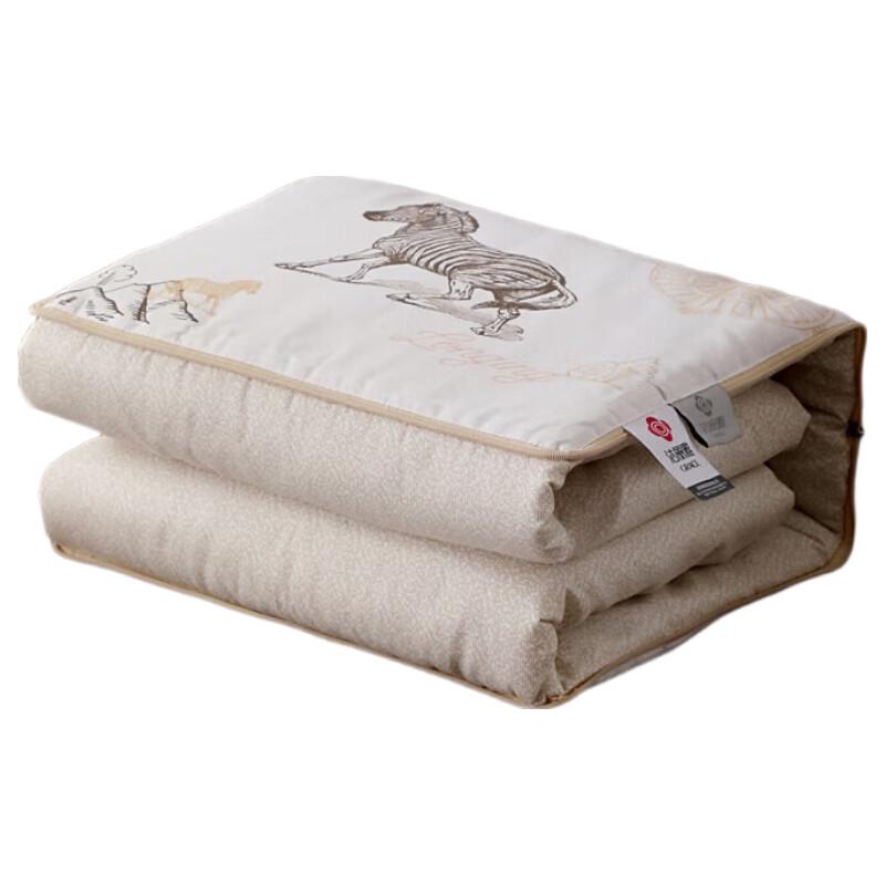 

Grace3D Convertible Throw Pillow Blanket