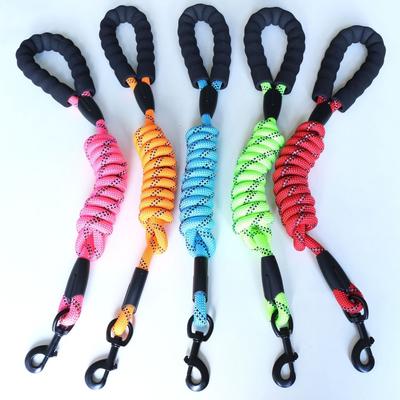 Cani – Collari e guinzagli per cani