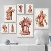 Svalová struktura lidského těla Obraz na plátně Retro Anatomie Lékařská reprodukce Plakáty Vzdělávání Obraz Výzdoba studovny
