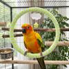 Wear-Resisting Parrot Swing Ring Cloud Star Ornament Parrot Perch Bird Toy Swing  Indoor