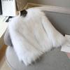 Imitation Fox Fur Imitation Leather Jacket Women's New Autumn and Winter Short Slim Fashion Light Fluff