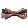 [White Fang] Elegant Polyester Bow Tie, Stylish Casual, Men's & Women's NC046(A19)