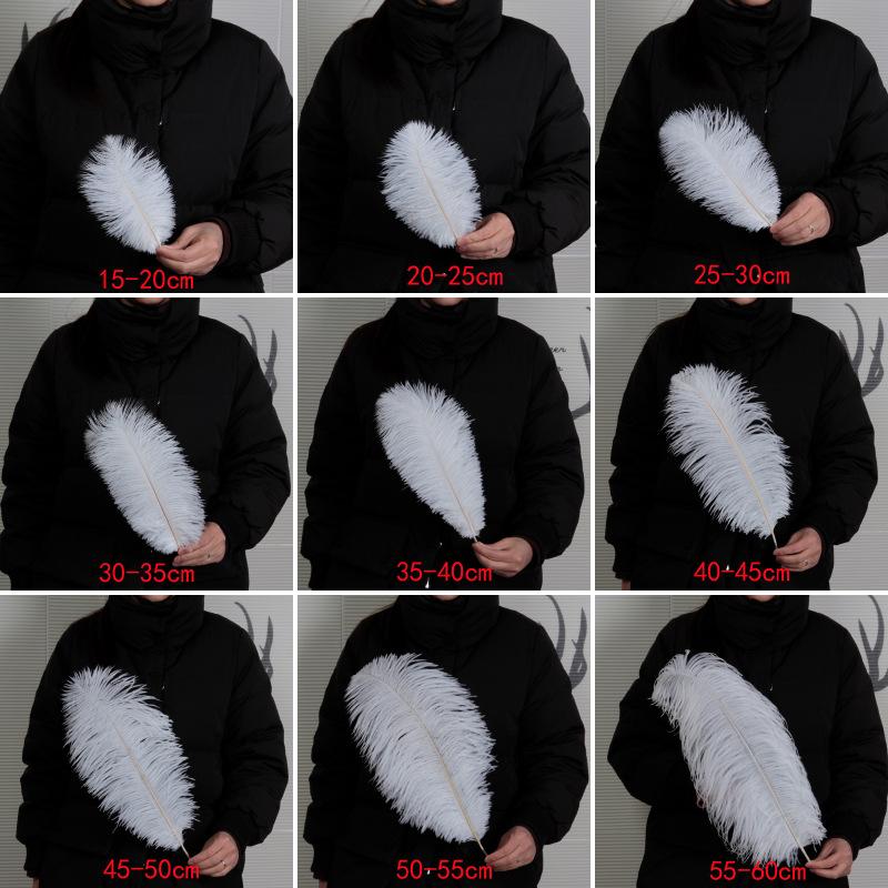 Fai da te 10 pezzi di piume di struzzo colorate da 20-55 cm, adatte per centrotavola nuziali, maschere di carnevale, decorazioni artigianali e wi