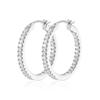 Zirconia Oval Earrings for Women, Gold & Silver Versatile Luxury Hoops, Fashionable Cross-Border Ear Studs