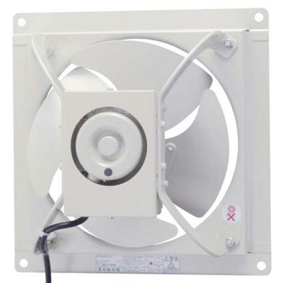 Toshiba VP-304SNX1 30cm Jednofazowy 100W Niskoszumowy Generator Prądu