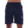 Mens TeamFinal Regular Training Shorts