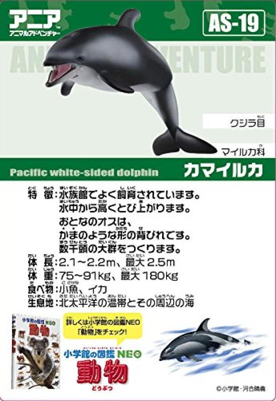 Takara Tomy "Ania AS-19 Pacific White-Sided Dolphin" Animal Dinosaur Realistic Moving Figure Toy Ages 3+ Meets Toy Safety Standards ST Mark ANIA