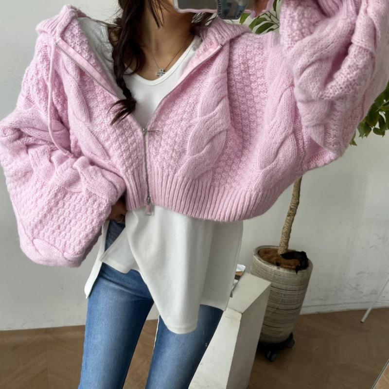 Korean Hooded Cable Knit Zip-Up Short Cardigan - Fresh Autumn Solid Color Tie Sweater Coat