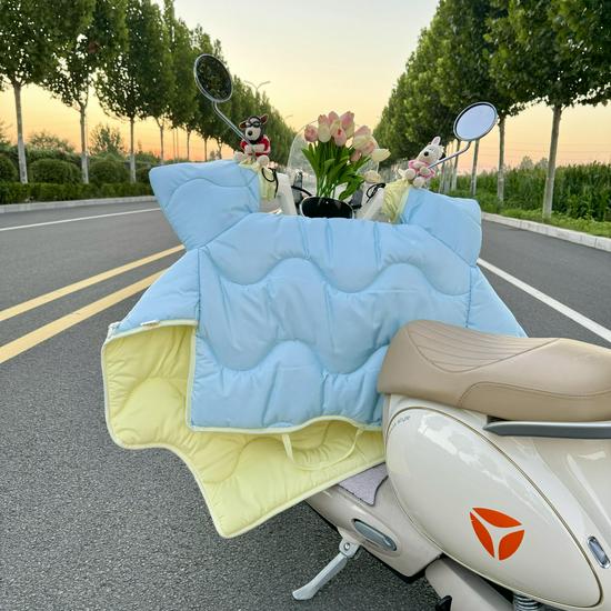 All-Season Electric Car Windshield Cover: Extra Large, Thick, Double-Sided & Waterproof with Side Wings