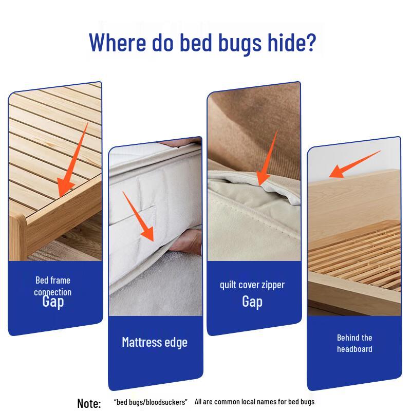 Xiuzheng Household Insecticide Spray