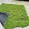 Non-Fading Moss Wool for Water Tanks, Plant Walls, and Garden Rockery Landscaping