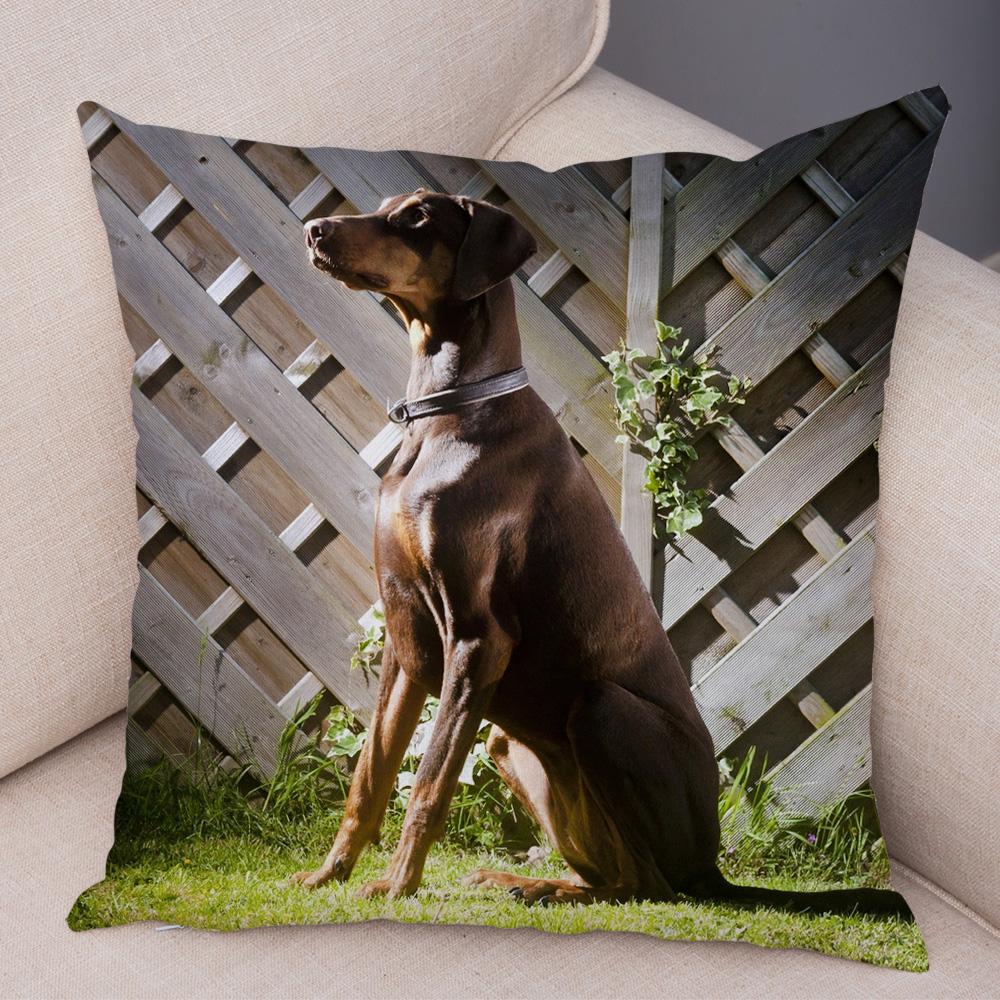 Doberman Pinscher Cushion Cover Both Sided Print Decor Pet Dog Animal Pillow Case for Car Sofa Home Soft Plush Throw Pillowcase