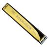 Tremolo Harmonica 24 Hole Harmonica Double Row Blues Harmonica Mouth Organ C-key Harmonica  Kids