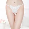Women's Fashion Transparent Lace Butterfly Sexy Panties Thong Solid  Color