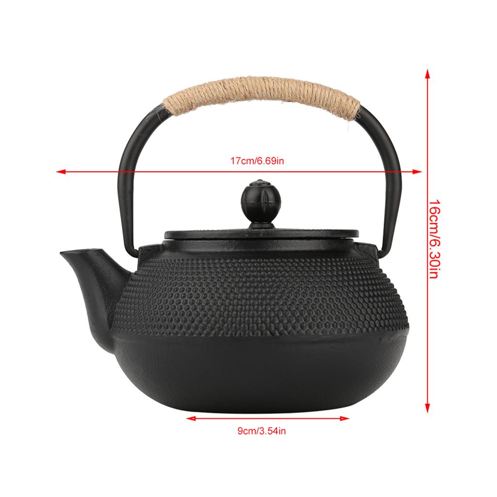 800ml Japanese Style Cast Iron Kettle Teapot Removable Infuser Strainer Tea Pot