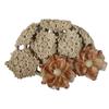 Retro Pearl Hollowed Out Knitted Hat Floral Thin Bohemian Style Beanies Korean Elegant Weave Cap Outdoor