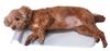 Dog and Cat Spacious Cool Aluminum Pillow Sheet HNZ L Mat,