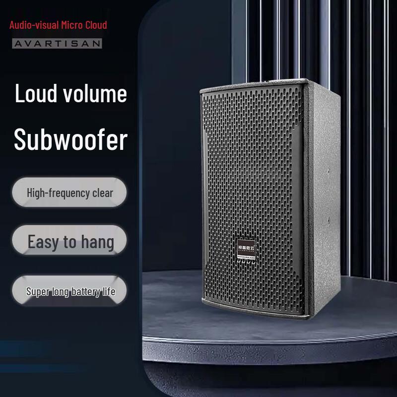 Shiyin Weiyun S-910PR-A 10-inch Luxury Conference Speaker