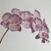 10 Heads Artificial Butterfly Orchid Iron Wire Inner Lining Multi Color Fake Phalaenopsis Real Touch 98cm Simulation Flower
