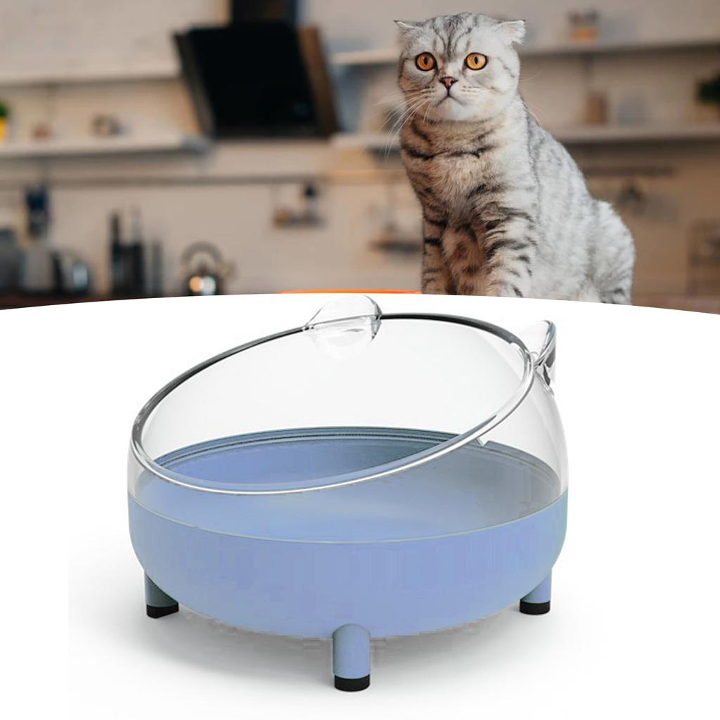 Pet Bowl Prevent Slip 4 Feet Raised Removable Burr Free Cute Cat Puppy Dish for Food Water Blue