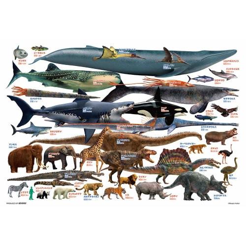BEVERLY [Made in Japan] Beverly 150 Piece Jigsaw Puzzle Learn Jigsaw Puzzle Compare Giant Creatures! Large Piece (26 x 38cm)