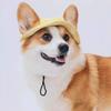 With Ear Holes Cat Bucket Hat Cotton Dog Fisherman Hat Cute Pet Caps  Travel