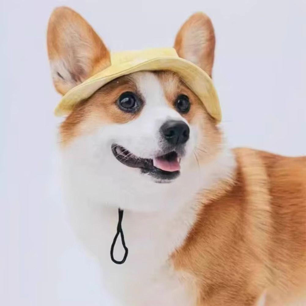 S/M/L Cat Sun Hat Cotton Pet Caps Cute Cat Bucket Hat  Travel