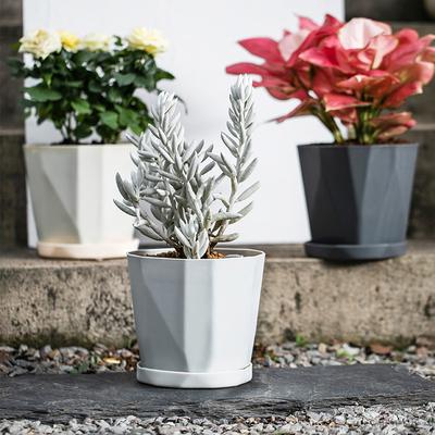 Thickened Nordic Simple Internet Popular Creative Resin Green Plant Fleshy Plastic Flower Pot
